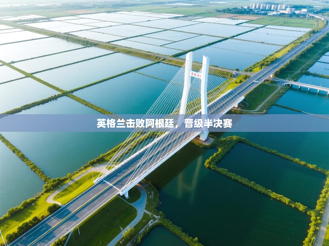 英格兰击败阿根廷,晋级半决赛 第1张