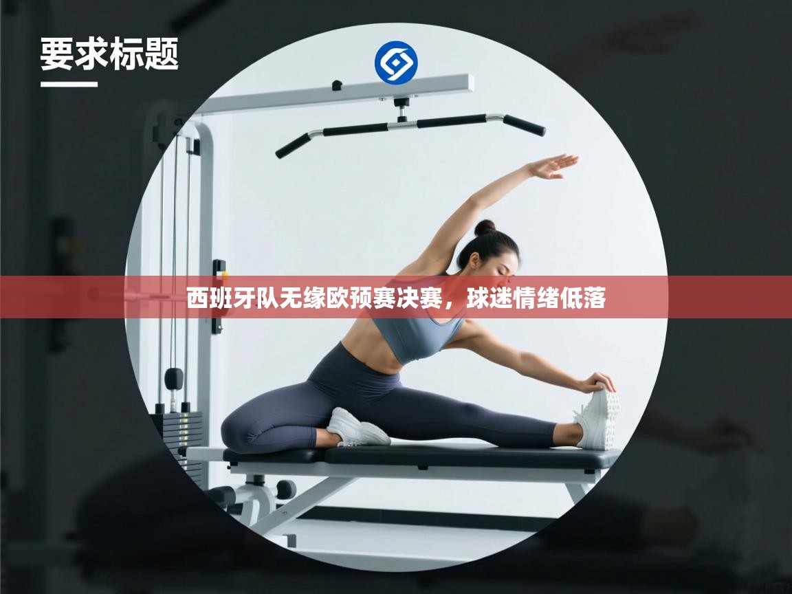 西班牙队无缘欧预赛决赛,球迷情绪低落 第1张